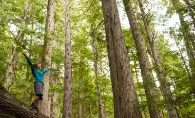 Happy hiker with arms outstretched in the mountains/woods.
