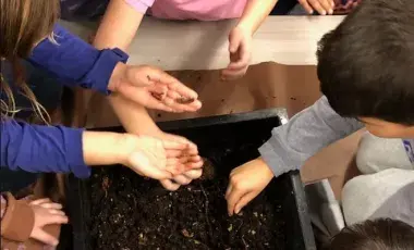 Children's hands holding worms over a box of dirt.