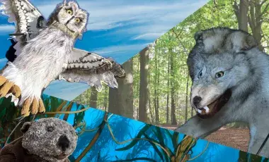 Three animal puppets