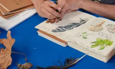 Close-up of a person sketching and writing in a nature journal.