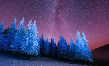 A glowing pink night sky and dark mountains are the backdrop for blue frosted trees.