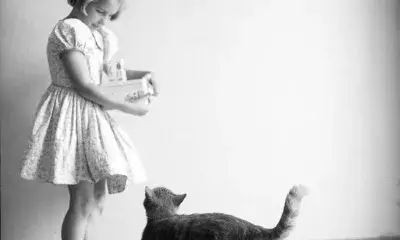 young child stands next to cat