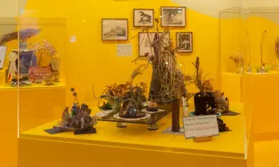 Display case representing the 29 Palms Historical Society's Annual Weed Show.
