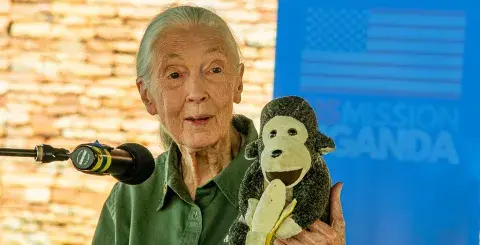 Jane Goodall at a conference holding a monkey toy