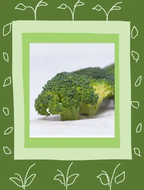 broccoli