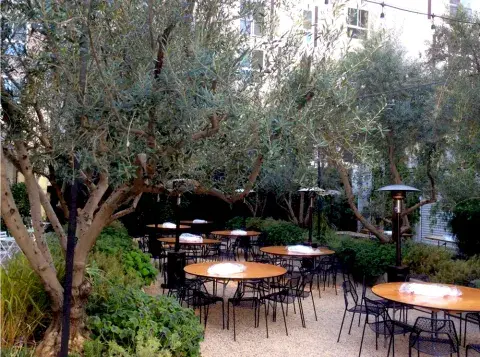 Patio garden with tables and chairs.