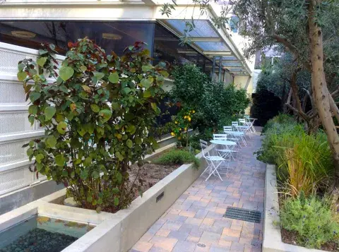 Patio garden with small tables and chairs.