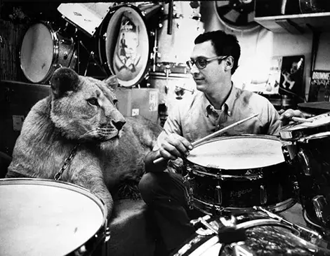 Two cool cats and a set of skins