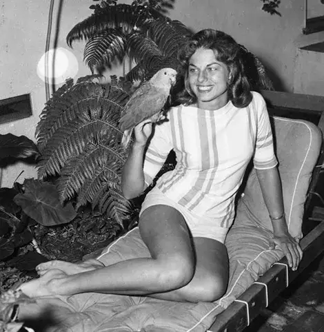 Leisure moment