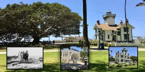 iews of Point Fermin Park, including the lighthouse and the Moreton Bay fig tree that stands next to it
