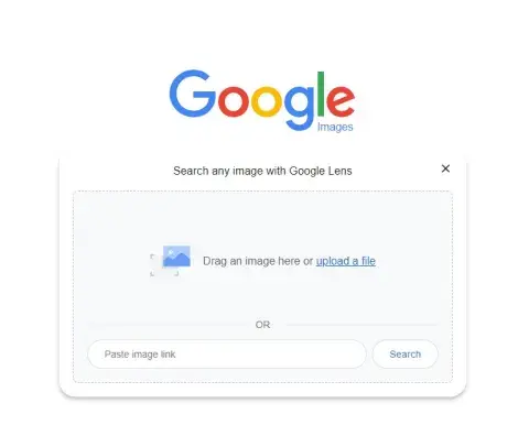 Screenshot of Google Lens