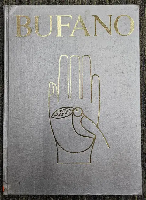 Bufano book cover