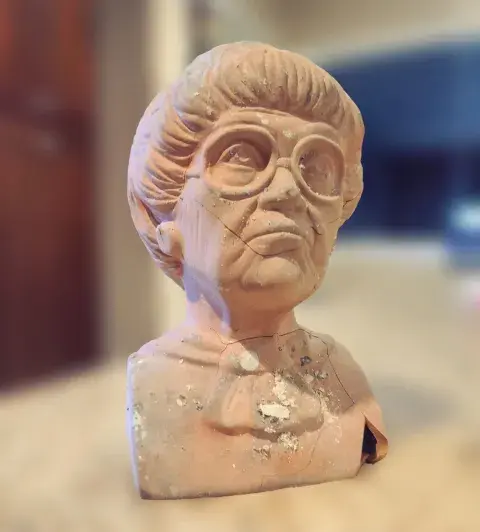 damaged chia pet head of Sophia