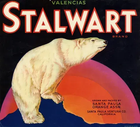 Polar Bear hugging a rainbow
