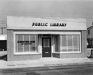 Branch Photo