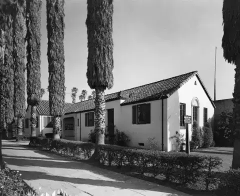library building surrounded by cypress trees