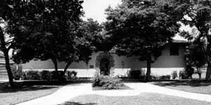 Branch Photo