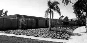 Branch Photo