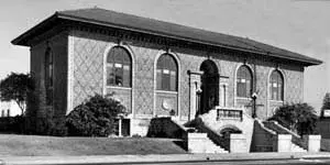 Branch Photo
