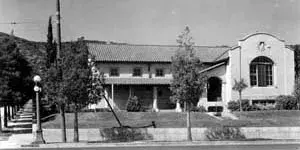 Branch Photo