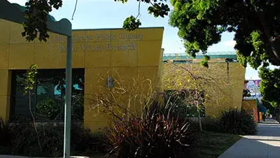 Branch Photo