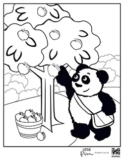 Little Pim Harvest coloring page