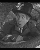 The Anatomy of Harpo Marx