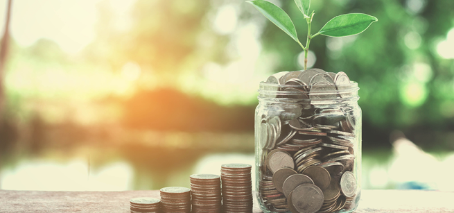 jar of coins and plant