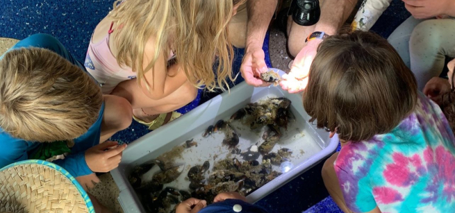children touching sea creatures