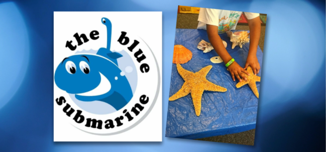 Smiling blue whale and kid's hands touching sea stars