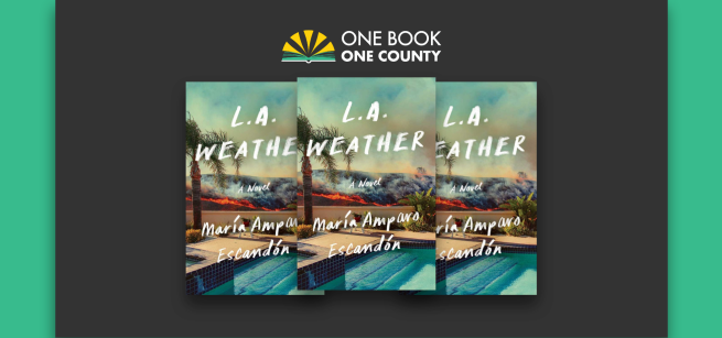 3 LA Weather book covers