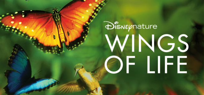 Image of poster for documentary "Wings of Life"