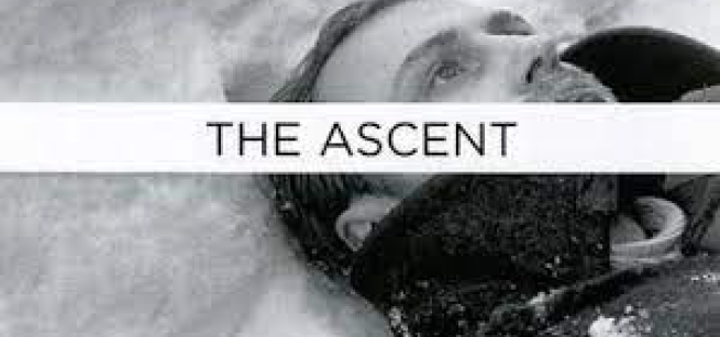 Man laying on the snow and staring 