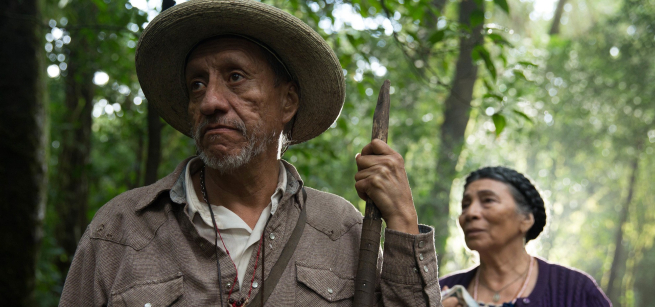 An older man and woman are shown gazing out into the lush, green forest that they are within. 