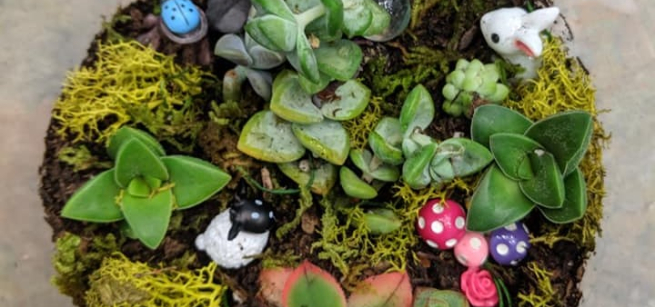 Top view of a container with succulents and miniature animals.