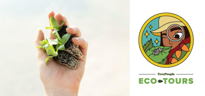 treepeople logo and saplings