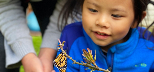 young boy in a blue jacket looking at a butterfly on a branch
