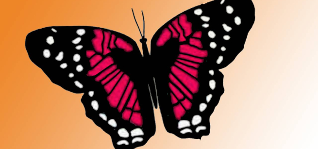 Cardstock butterfly against an orange background