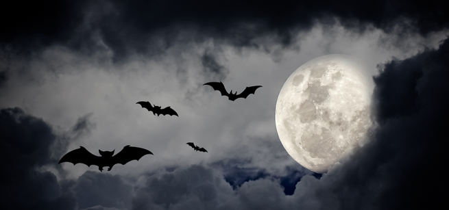 Night sky with full moon, clouds, and flying bats.