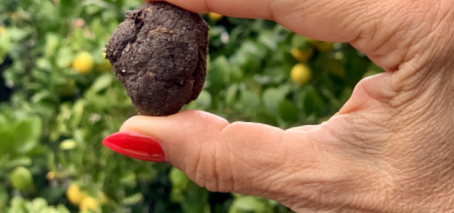 Person holding a seed bomb with two fingers.