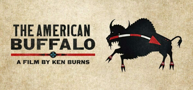 american buffalo, native american heritage month, documentary