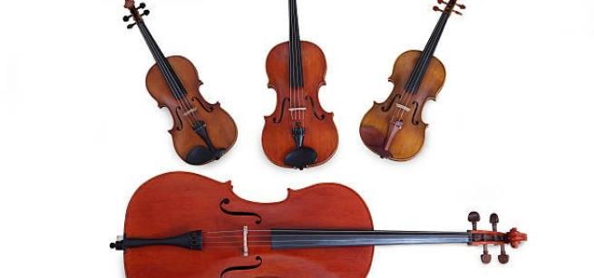 string quartet instruments