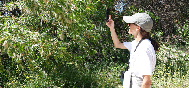 woman looking at trees