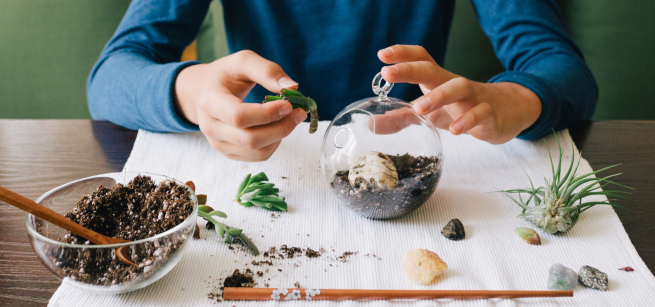 A teen boy assembling a terrarium, adding soil and small plants to create a miniature garden.