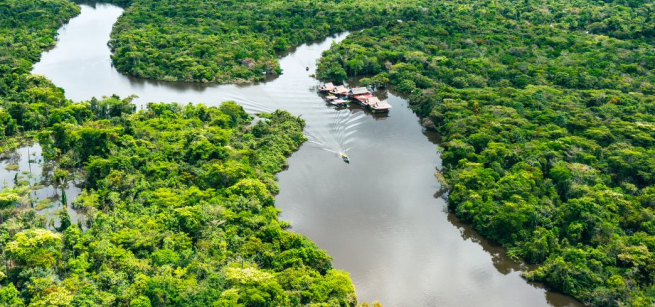 amazon river
