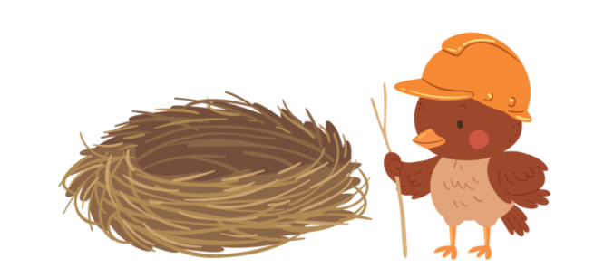 bird in a hard hat measuring a nest 