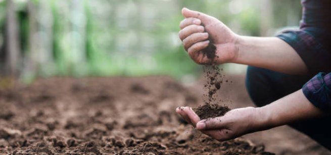 hands grabbing soil 