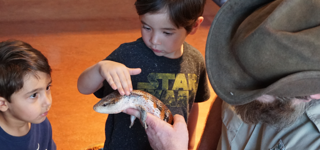 A man holds a skink and one child pets it while another looks on.