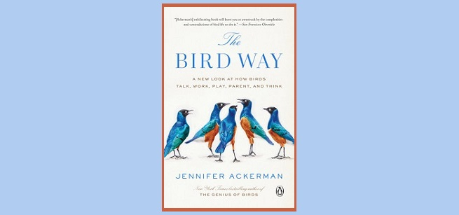 Cover image of "The Bird Way" by Jennifer Ackerman.