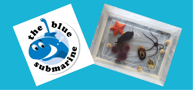The Blue Submarine logo with cartoon fish and submarine, next to a clear tray holding various tide pool creatures.